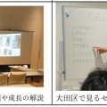 セミの羽化観察