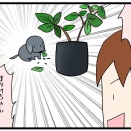 9ヵ月になりました