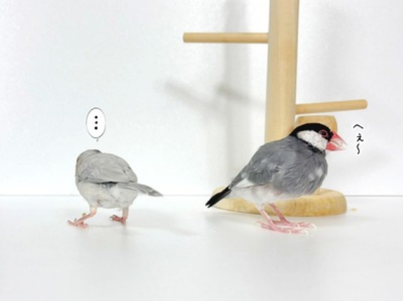 どんな嫌味が通用するのか