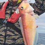 新潟県　寝屋漁港　功晴丸　第八功晴丸　潜りの眼