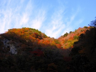 2025べふ峡の紅葉