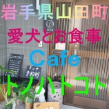 『ワンちゃんと行けるカフェできたよ～🐶』の画像