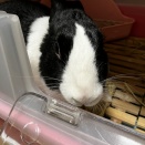 近況報告でっす！