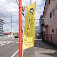 昨日は秘密結社ねこのひげ譲渡会♪