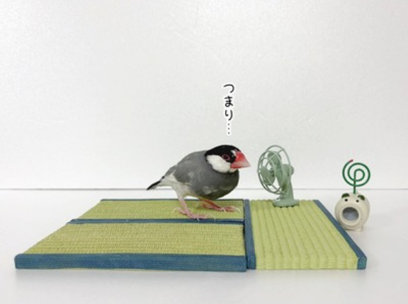 とうとう私の天敵がやって来た…