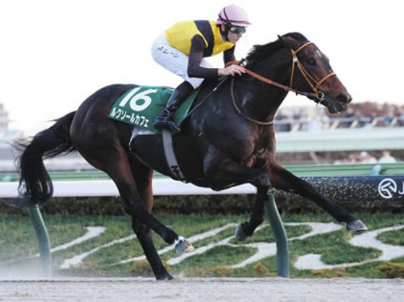 【競馬予想】[3] 第26回チャンピオンズカップ(GⅠ) /2025