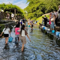 岐阜小学校ＰＴＡ「鮎つかみ体験」