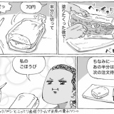 海外商店の蛍光めし。