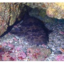 陸も海もポカポカ