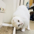 Megさんのお当番日記『返り討ち』