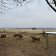 エスコン開幕6連戦　5日目　観光と観戦　羊ヶ丘と大倉山