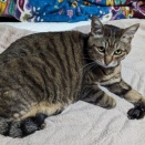 コボボイより年末のご挨拶😊