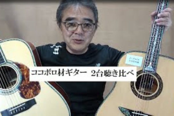 TOYAギター （夢を形に、趣味のオーダーメイドギター） - ムキカ