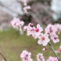note で記事を公開中です。