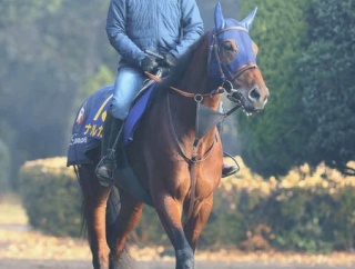 【チャンピオンズC】 ナルカミは中京に嫌な思い出があるかもしれん