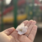 メゾンカルチャークラブ溝の口スタッフブログ