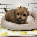 かまって君だよ☆彡