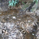 放置ため池の整備作業。