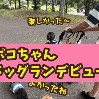 ポコちゃん、ドッグランに行きました。