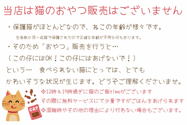Cat Cafe Miysis キャットカフェミーシス Blog 17年09月