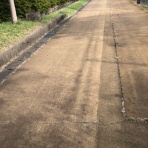 すっとこどすこい株投資