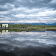 湛水