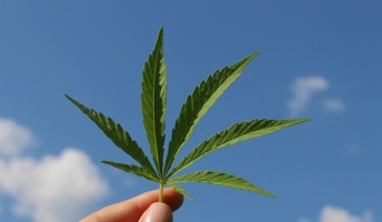 日本っていつか大麻合法化すると思う?
