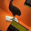 超危険生物展