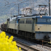 久々のEF65-0番台原色登場　= 週2運行の8866レ =