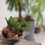 シンプルライフ × シンプルスタイル