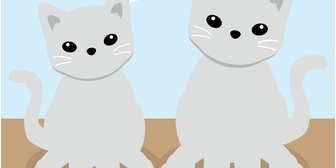 側溝に子猫が二匹落ちていた。