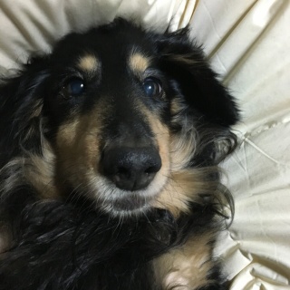 気になる芸能まとめ