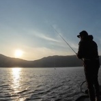 テイルウォーク開発日記