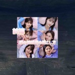 ないものねだりの本棚