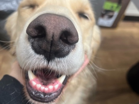 昨夜も深夜までありがとうございました🙏💓🙇‍♀️