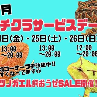 爬虫類倶楽部大宮店公式ブログ