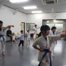 5月中後半