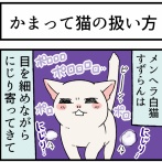 取扱注意な「かまってちゃん猫」の上手な扱い方