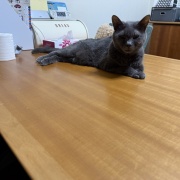 あなたが居なくなって3年が経ちました