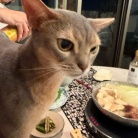 黄身大根おろしで食べる水炊きの夜ごはんと、楽天マラソン最終日