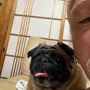 水曜日の、さんちゃん。