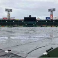 阪神－中日は雨天中止　連敗中の阪神は大竹、７連勝狙う中日は金丸が先発予定も