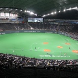 『北海道日本ハムファイターズと言う球団』の画像