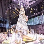 エーティさんの就活応援団！