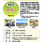 房総の不動産会社 エンゼル不動産房総店リゾート日記