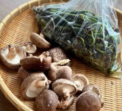 年度末と始まり