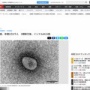 新型コロナの死者数、5類移行後に年間3万2千人…インフル死者数の15倍を記録してしまう
