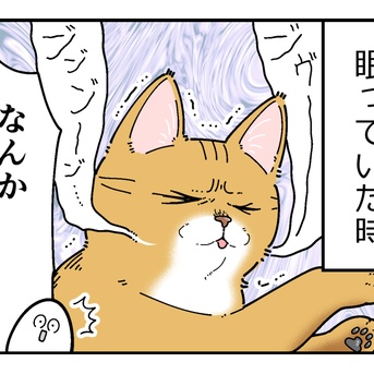 猫の悪夢