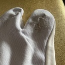 足の裏から