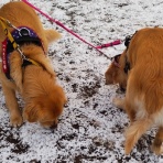 グラッチェトラバース